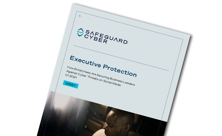Executive Protection Survey